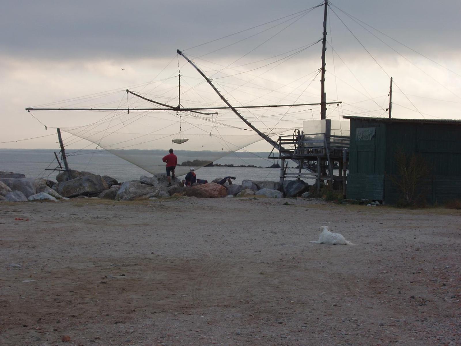 La Coccinella Marina Di Pisa Exterior foto